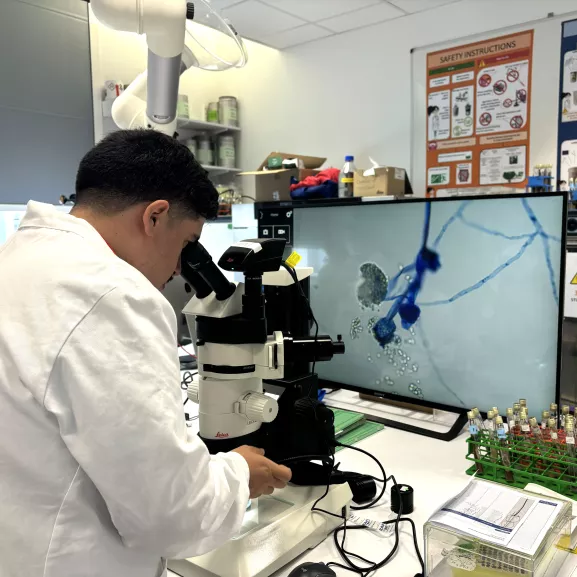 Cours Pasteur Mycologie Médicale