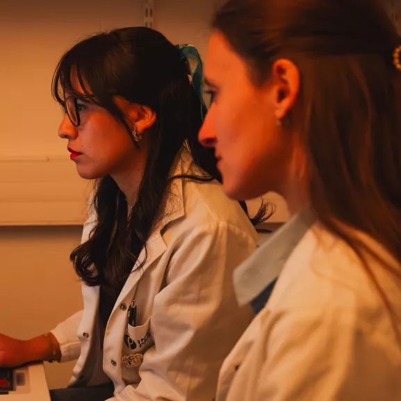 Doctorantes