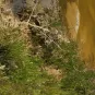 OMI mexico