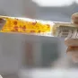 Pourquoi nous soutenir - Institut Pasteur