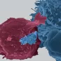HTV - Institut Pasteur