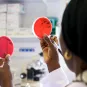 Mission Santé - Institut Pasteur