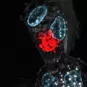 legionella - Institut Pasteur