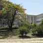 Guyane - Institut Pasteur