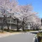 RIKEN Wako - Japon - Institut Pasteur 