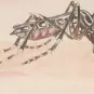 Stegomyia fasciata (Aedes aegypti) - Institut Pasteur
