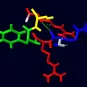 opiorphine - Institut Pasteur