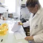 CNR Arbovirus - Institut Pasteur de la Guyane