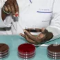 Résistance antibiotique - Réseau international des instituts Pasteur