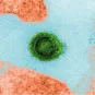 Dengue : comprendre les mécanismes permettant de ne pas développer les symptômes suite à une infection