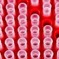 Institut Pasteur - Santé publique - CRBIP 