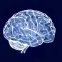 Microbes & Brain Mooc