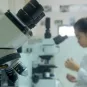  Laboratoire Institut Pasteur du Cambodge 