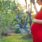 Zika : une estimation précise des risques neurologiques chez les enfants à naître