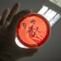 Streptococcus - Institut Pasteur