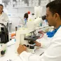 Prélèvement à la source & don - Institut Pasteur