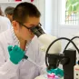 Doctoral and Post-Doctroral Institut Pasteur