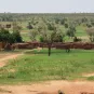 Afrique - Institut Pasteur