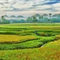 Philippines recommandations au voyages - Institut Pasteur