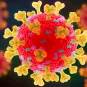 Coronavirus : toute l’actualité de l’Institut Pasteur sur COVID-19 - Institut Pasteur