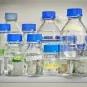 Une étude préclinique montre que l’hydroxychloroquine n’a pas d’effet antiviral contre le SARS-CoV-2 in vivo