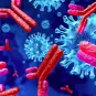 COVID-19: no cross-protective immunity conferred by other coronaviruses in children - Institut Pasteur