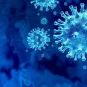 Une équipe internationale de chercheurs a identifié des vulnérabilités communes aux coronavirus SARS-CoV-2, SARS-CoV-1 et MERS-CoV 