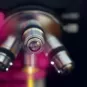 Microscope - Institut Pasteur