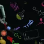 Mooc Biobanking 2021 - institut Pasteur