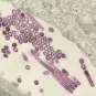 Mooc emerging viruses Institut Pasteur
