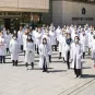 Chercheurs de L'Institut Pasteur
