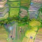 Photographie illustrative, Indonésie, cultures de riz en terrasse vues du ciel