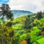 Photographie illustrative, région rurale, Rwanda