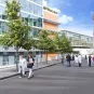 L’Institut Pasteur et MSDAVENIR signent un partenariat pour améliorer les stratégies de contrôle de la propagation des maladies virales à transmission vectorielle comme Zika
