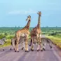Photo illustrative - Mozambique