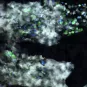 Immunothérapies des cancers du sang : mise en évidence de la destruction à distance des cellules cancéreuses  