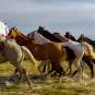 Photo illustrative Uruguay