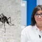 moustique-anna_bellla.jpg