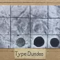 Détermination du lysotype Dundee pour une souche de Salmonella enterica sérotype Paratyphi B © François-Xavier Weill, Institut Pasteur