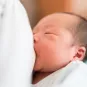 Lait maternel - Maternal milk - Institut Pasteur - NIH-NIAID