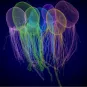 Reconstitution 3D d'une colonie de choanoflagellés Choanoeca flexa imagée par FIB-SEM (Focused Ion Beam - Scanning Electron Microscopy). Ici la colonie est montrée en conformation “flagelles-dedans”.