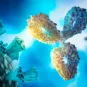 système immunitaire