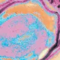 Sporulation atypique de Clostridium perfringens