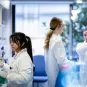 Reportage dans le laboratoire G5 Interactions cerveau-immunité.