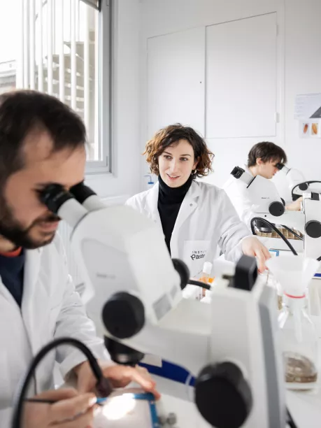 Reportage dans l'unité Mort cellulaire et homéostasie des épithéliums.