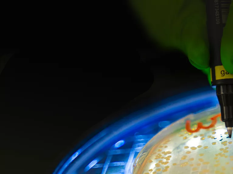  For every life, science takes action - Institut Pasteur
