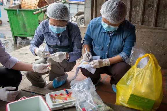 Projet ASIDE : surveillance de la grippe aviaire au Cambodge en février 2018. Phnom Penh, Cambodge - Marché de volaille d'Orussey : surveillance de la grippe aviaire chez les volailles par les équipes de l'Institut Pasteur du Cambodge et du laboratoire national vétérinaire (NAHPRI).
