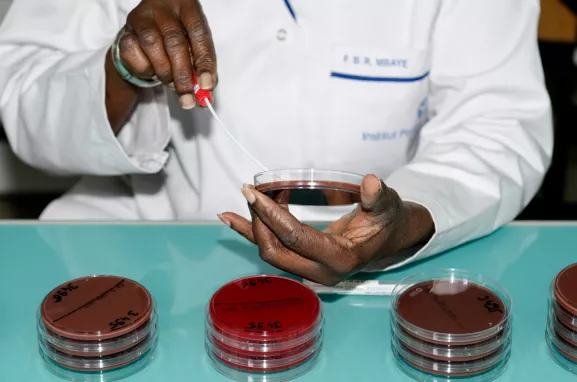 Analyses bactériennes dans le cadre du Projet Birdy à l'Institut Pasteur de Dakar le 25 décembre 2014. Le projet Birdy (Bacterial Infections and antibiotic Resistant Diseases among Young children in low income countries) consiste à étudier les infections néonatales et l'antibiorésistance chez les jeunes enfants dans les pays à faibles revenus.