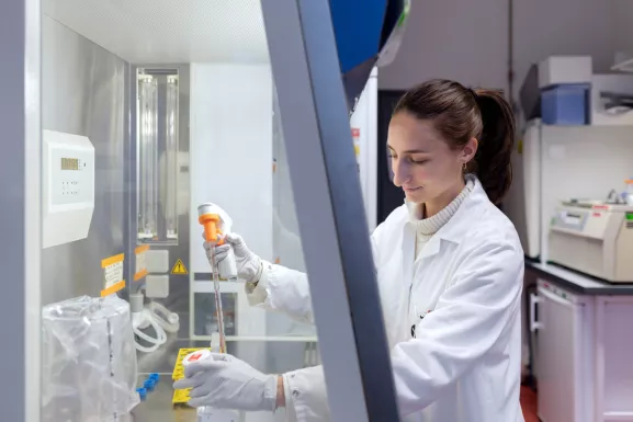 Reportage dans l'unité Biologie et génétique de la paroi bactérienne.