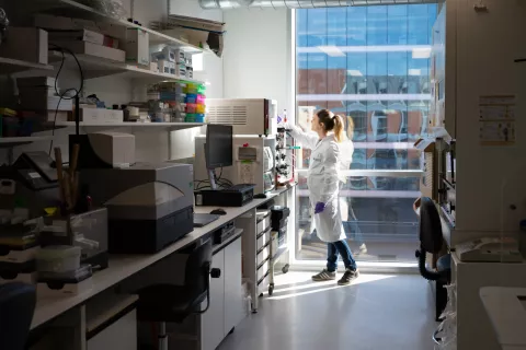 Reportage dans la plate-forme de criblage chémogénomique et biologique (PF-CCB)
